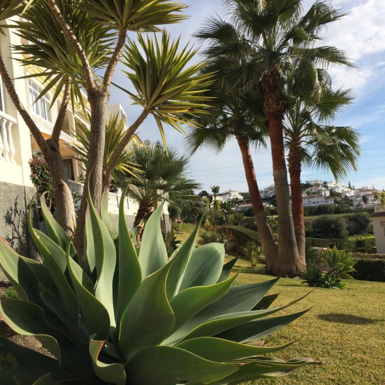 Residentie Montesol - Apartamento de 1 dormitorio - 23