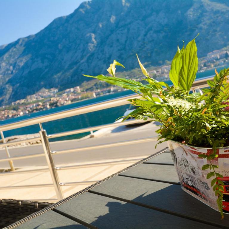 Apartments Jovanovic - Apartment - Ground Floor - 20