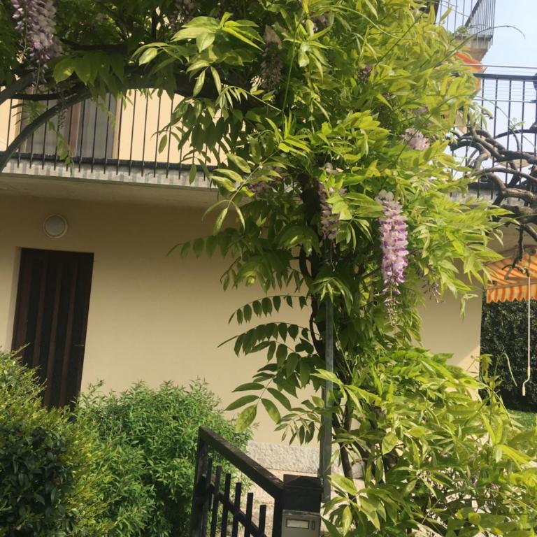 Apartment Weiss Home - Appartamento - 11
