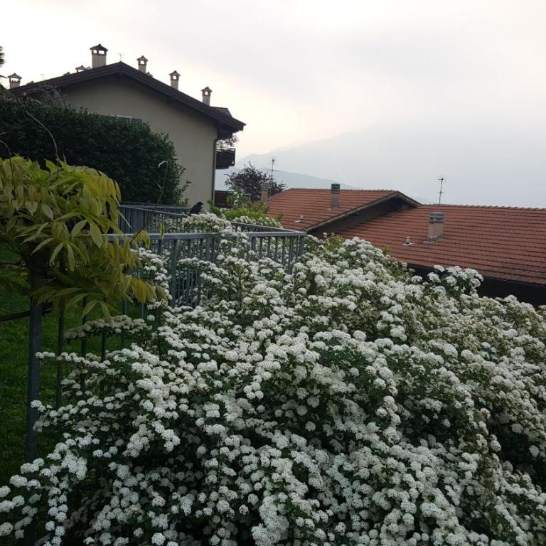 Apartment Weiss Home - Appartamento - 13