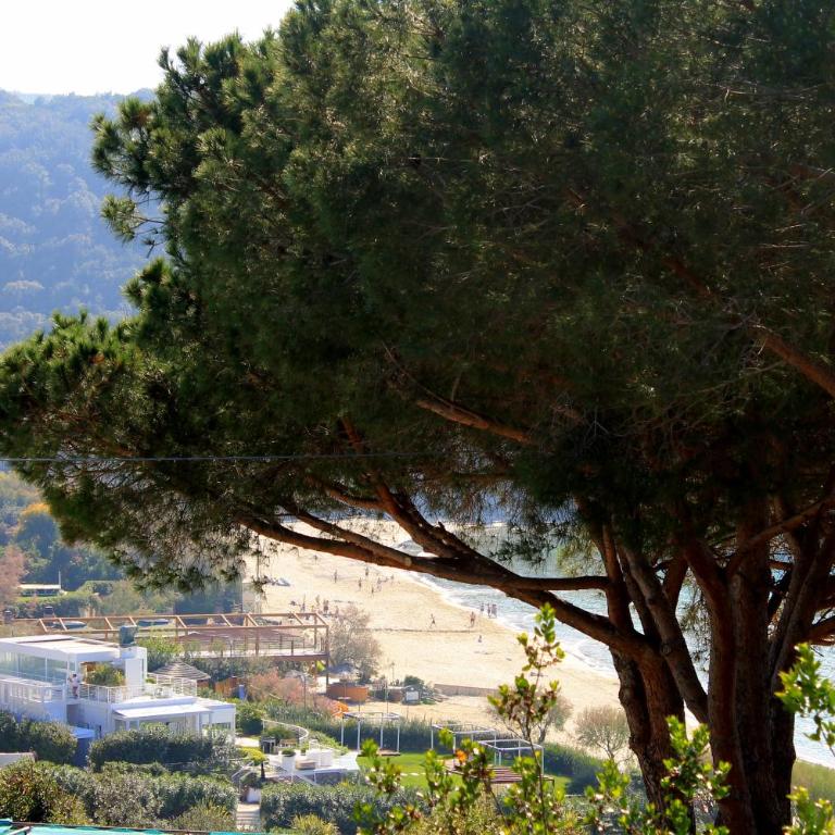 Scaglieri Mare by ArgonautiVacanze - Casa con 2 Camere da Letto e Vista Mare - 57