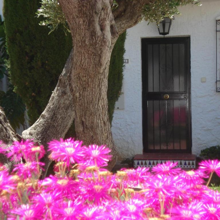 El Capistrano Sur - Apartamento de 2 dormitorios - 4