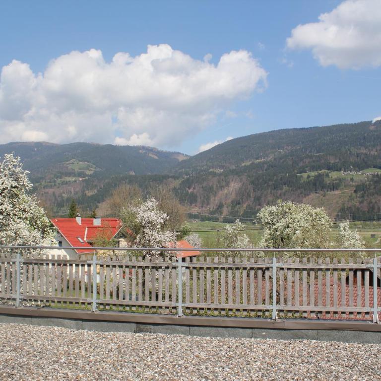 Ferienwohnungen Gritzner - Apartment mit Terrasse und Wintergarten - 23