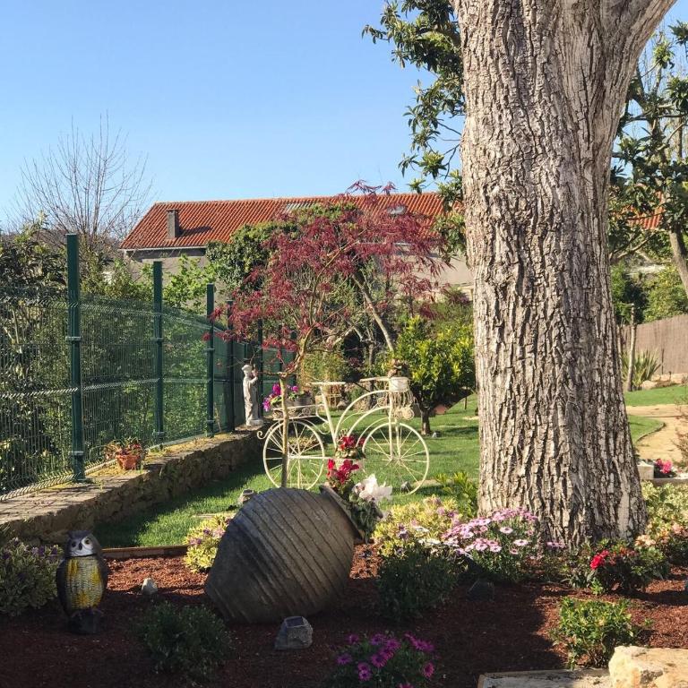 A Fonte das Hortas Residencial - Apartment with Garden View - 6