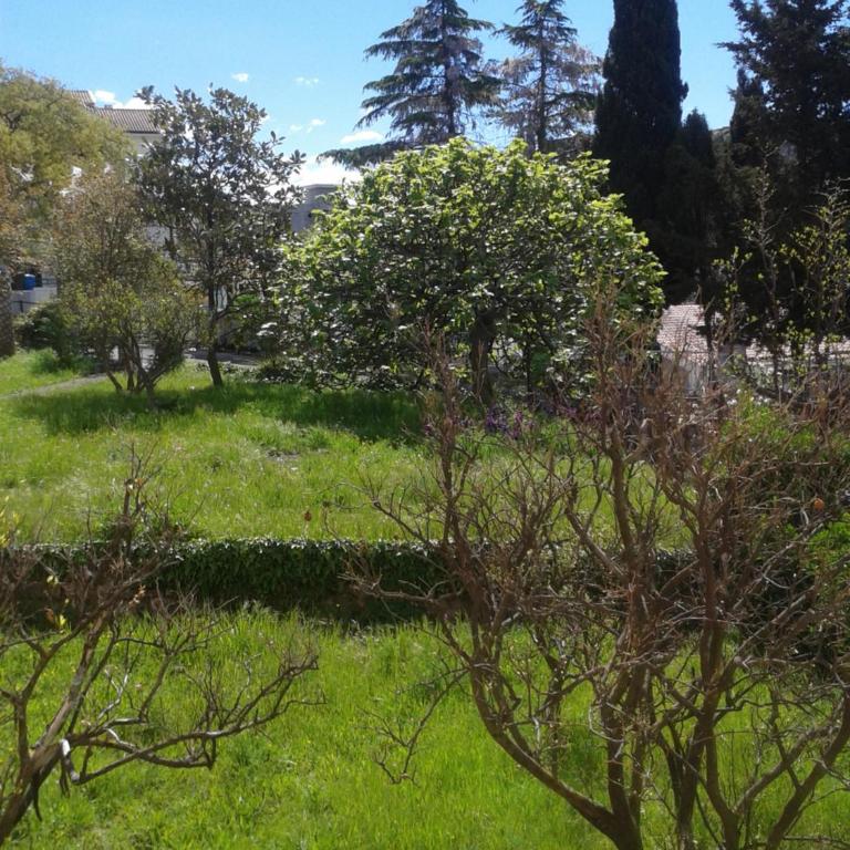Guesthouse Lautasevic - Apartment - 3