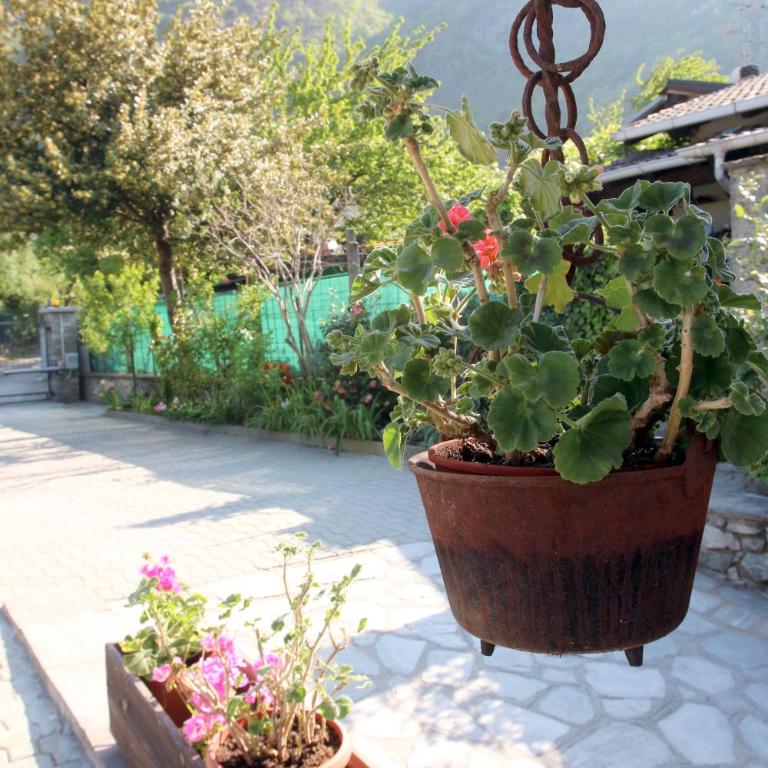Maison Cassius - Casa Vacanze - 21