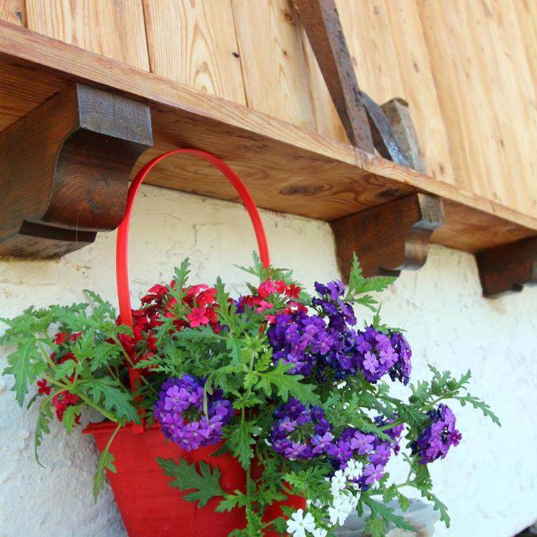 Maison Cassius - Casa Vacanze - 18
