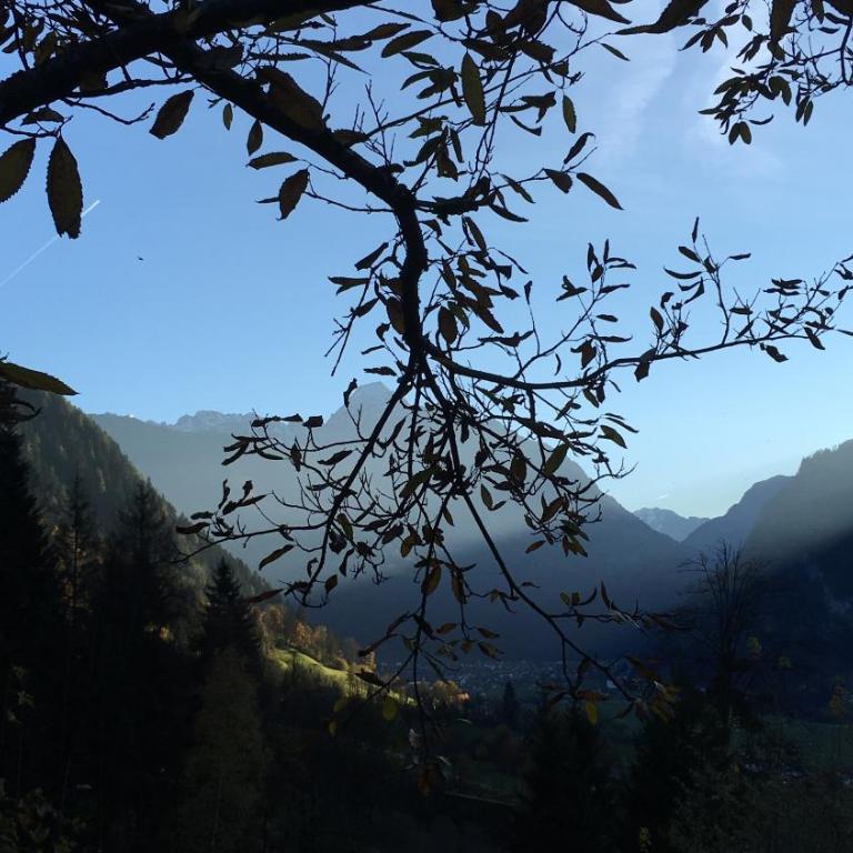Luxus Chalet Mühlermoos - Chalet mit 3 Schlafzimmern - 14
