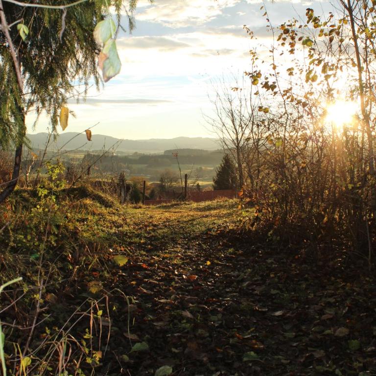 Ferienwohnung Rupp Bergblick & private Sauna - Apartment mit Blick auf die Berge - 18