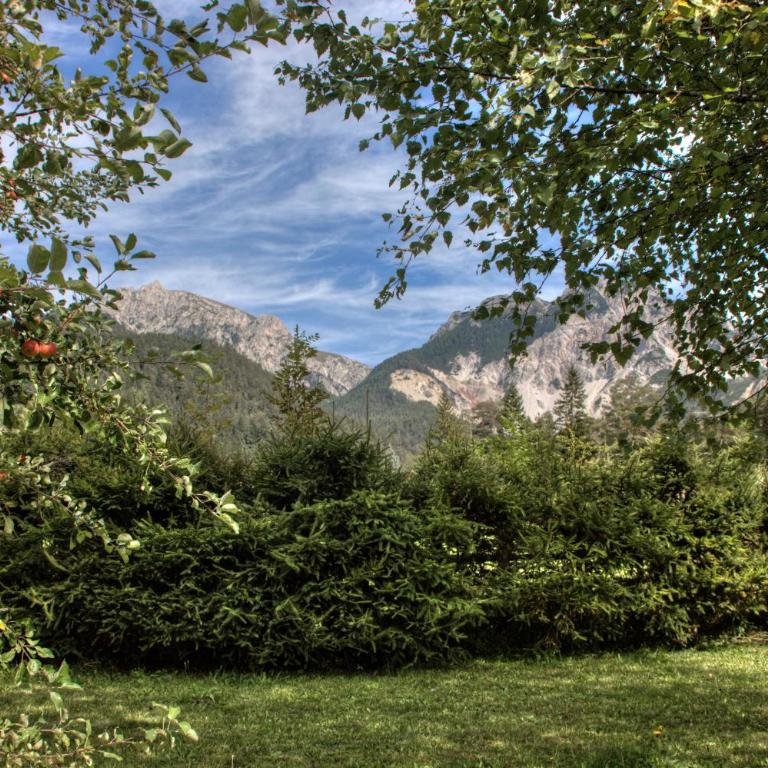 Alexander Mountain-Lodge - Chalet - 6