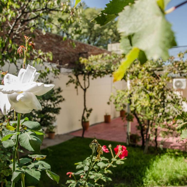 Casa Las Parras - Vacation Home - 17