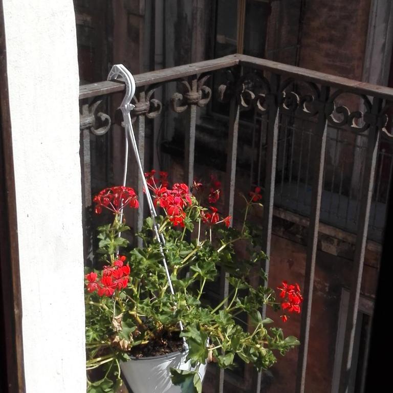 Monovano Centro Storico - Vacation Home - 32