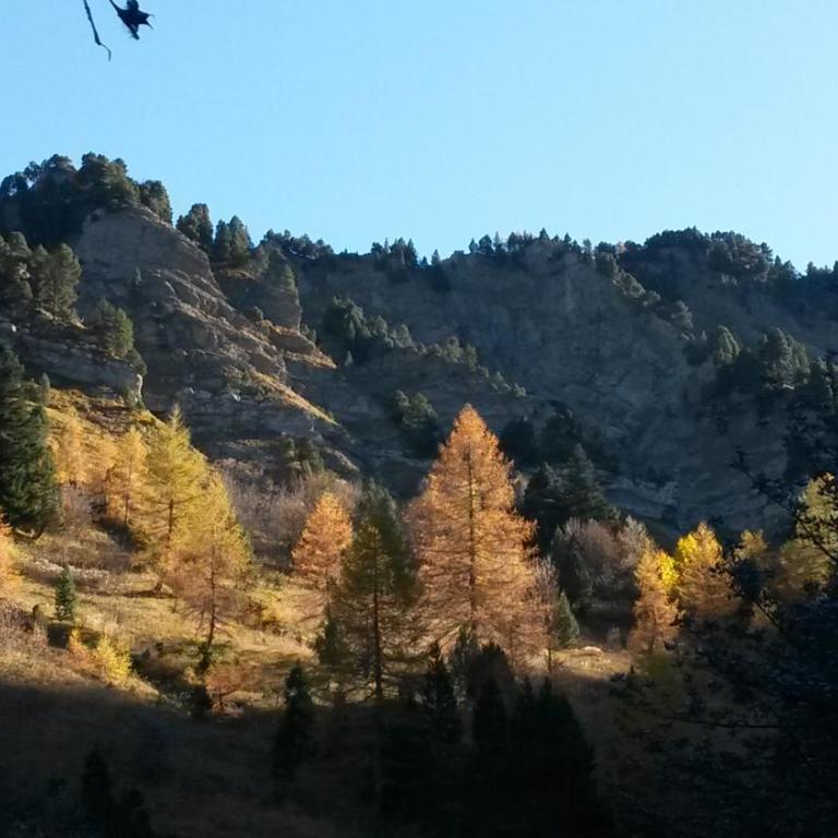 Le ZEN au pied du Grand Veymont en été en hiver - Appartement avec Balcon - 25