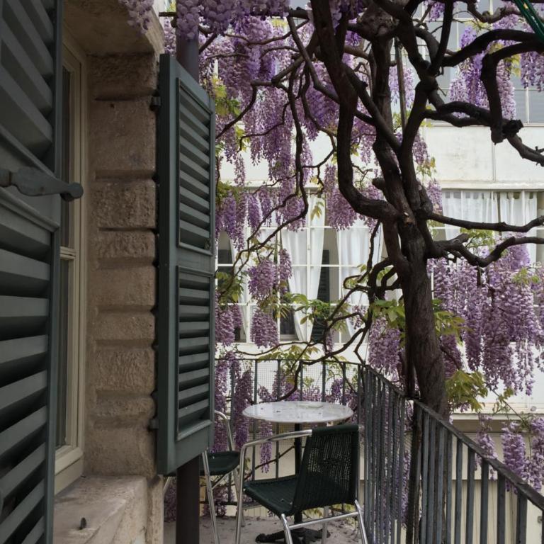 Palazzo Fracastoro - Camera Deluxe Matrimoniale/Doppia con Letti Singoli - 45
