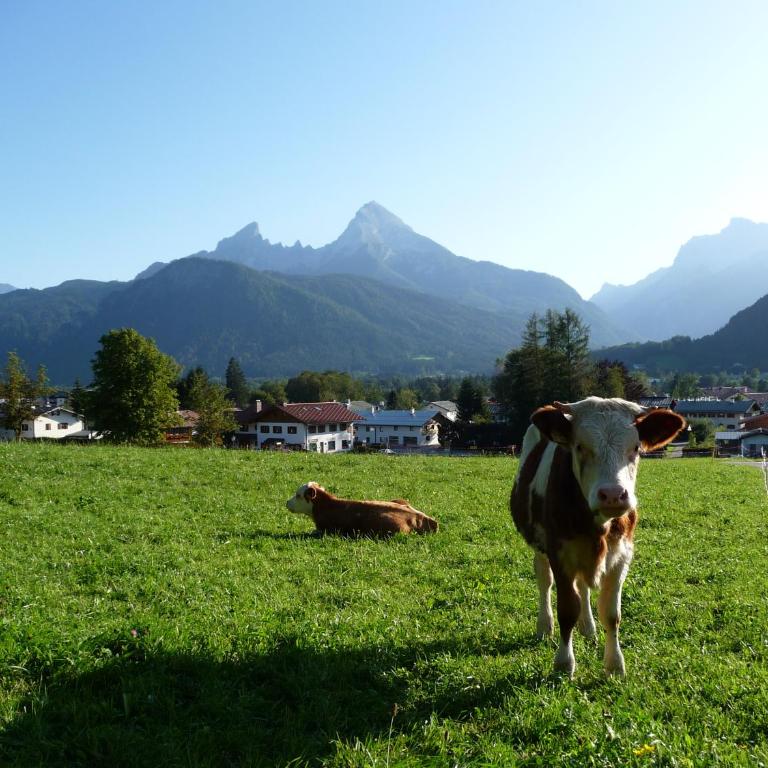 Haus Rosenrot - Apartment mit Blick auf die Berge - 27