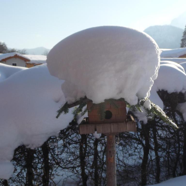 Haus Rosenrot - Apartment mit Blick auf die Berge - 28
