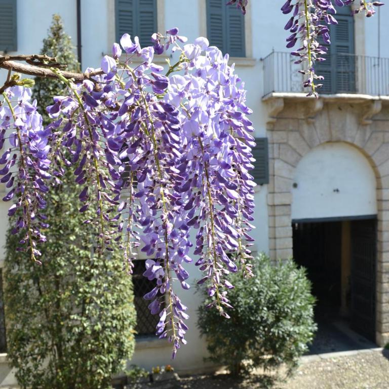 Palazzo Fracastoro - Camera Deluxe Matrimoniale/Doppia con Letti Singoli - 9