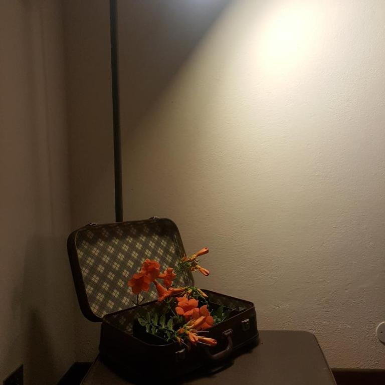 Granny's house - Apartamento de 2 dormitorios - 3