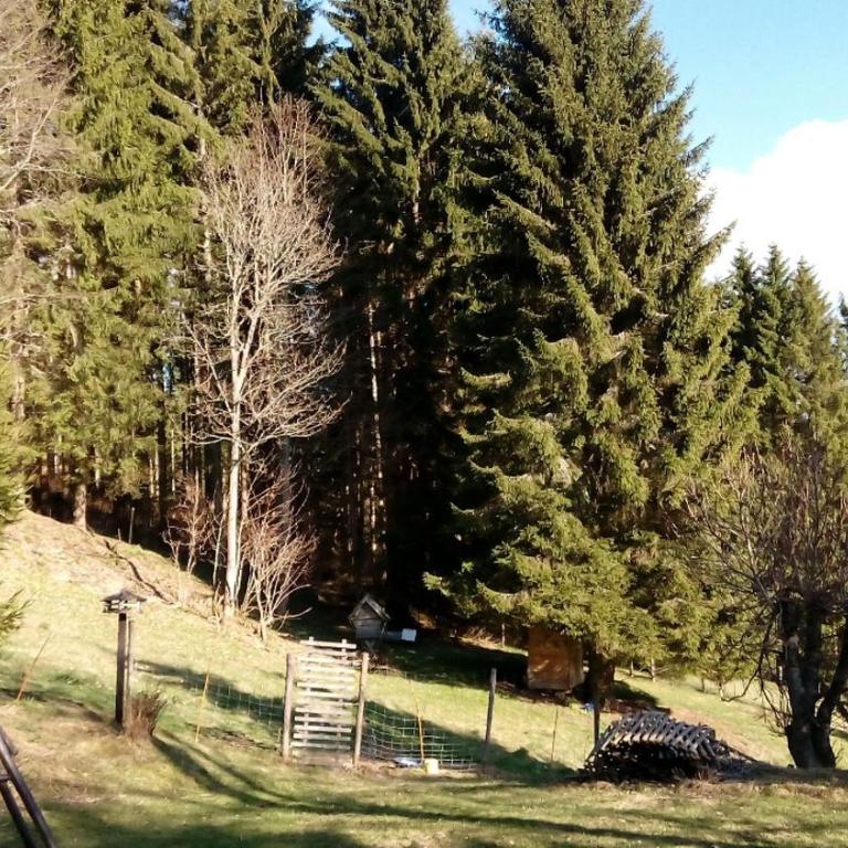 Gästehaus Fridolin - Chambre Triple – Vue sur Montagne - 1