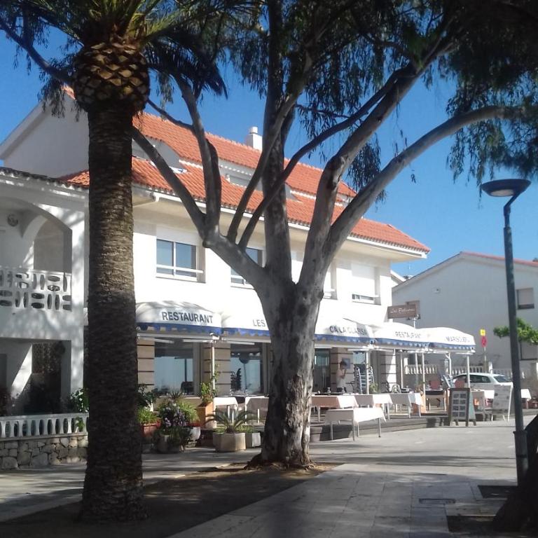 Ornis Apartments Platja - Apartamento de 1 dormitorio con vistas al jardín (2-4 adultos) - 5