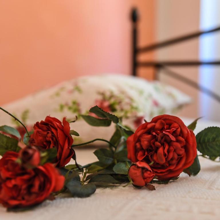 B&B Villa Sophie - Suite Familiare - 8