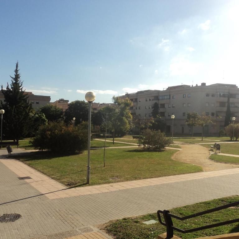 Apartamento Centro Jerez - Apartamento de 2 dormitorios - planta baja (8 adultos) - 17
