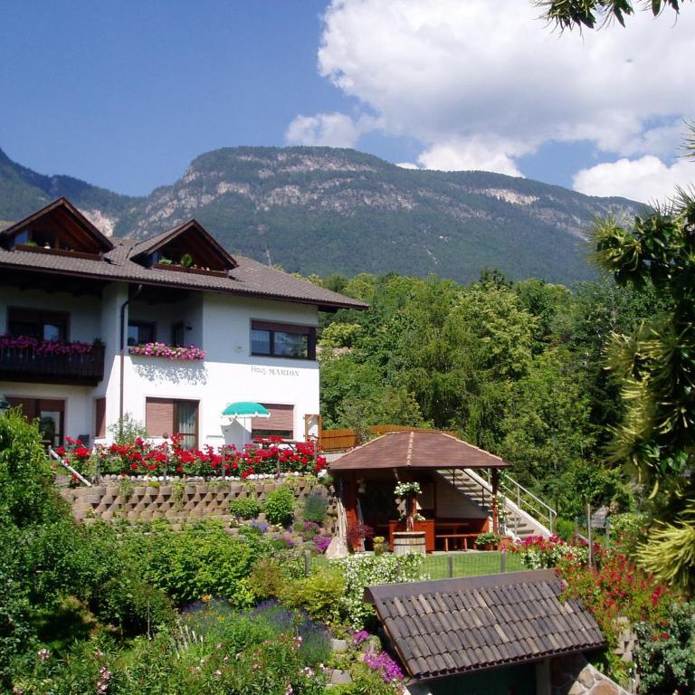 Haus Marion - Appartamento con Vista Montagna - 1