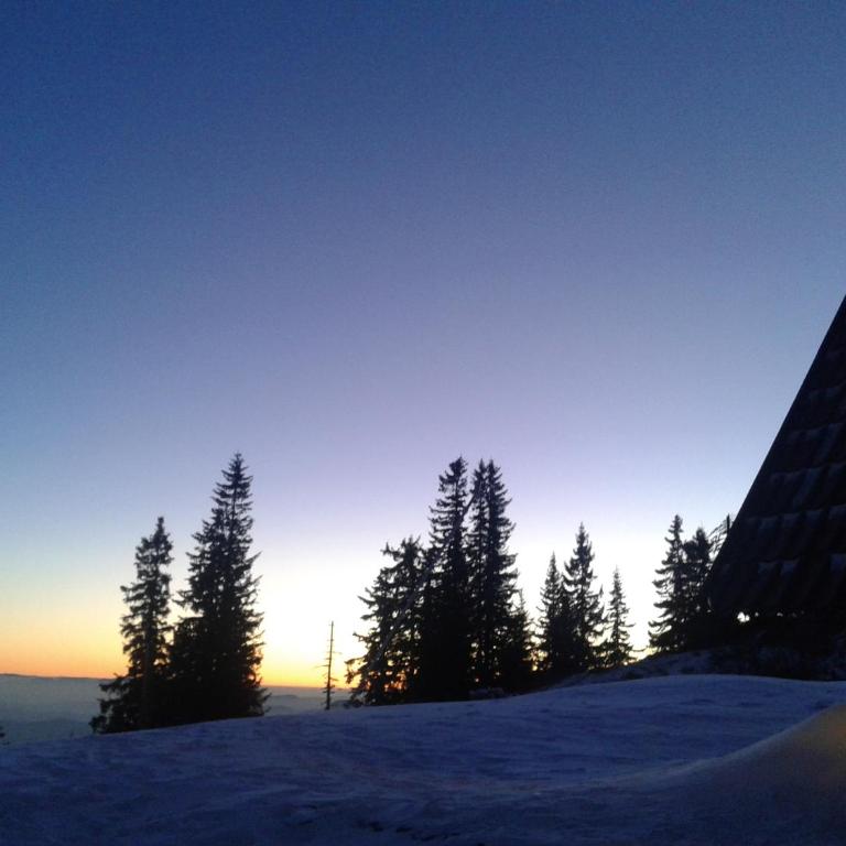 Vikendica Zlatna Žita Jahorina - Duplex Apartment - 13