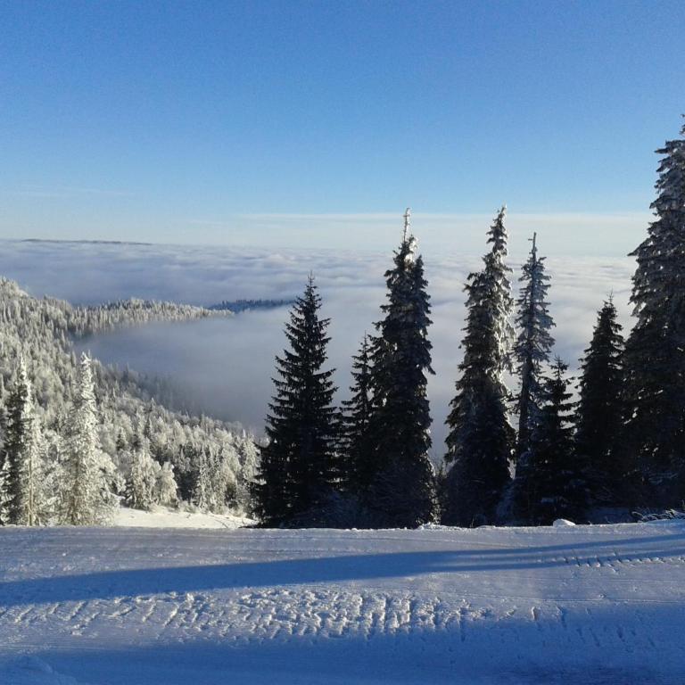 Vikendica Zlatna Žita Jahorina - Dupleks Apartman - 15