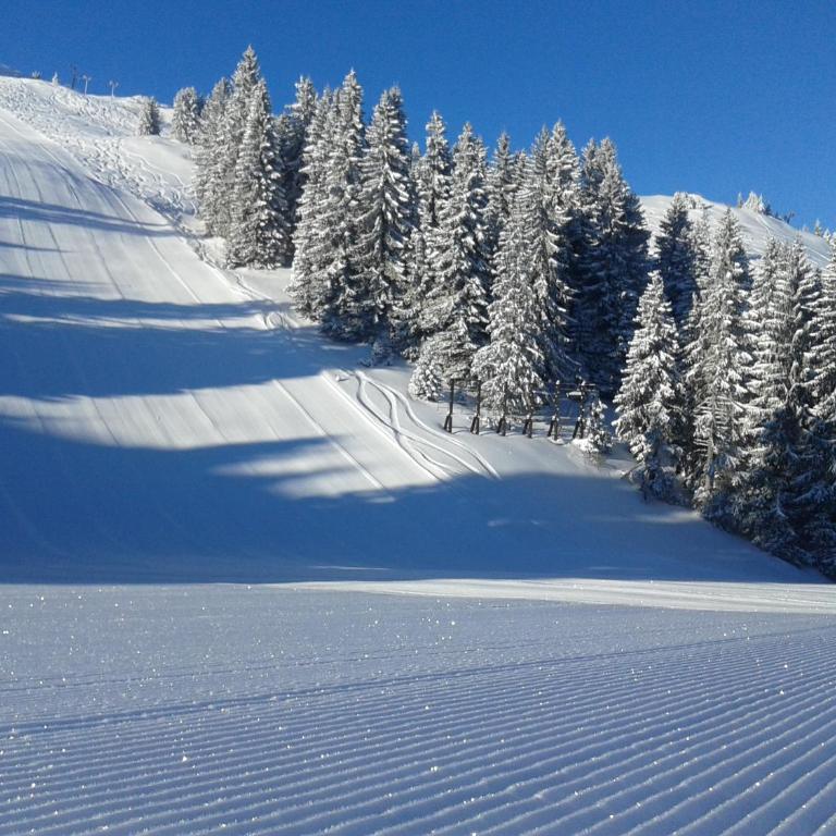 Vikendica Zlatna Žita Jahorina - Duplex Apartment - 19