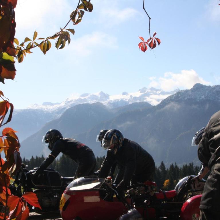 Alpenchalet Gosau - Superior Chalet - 35