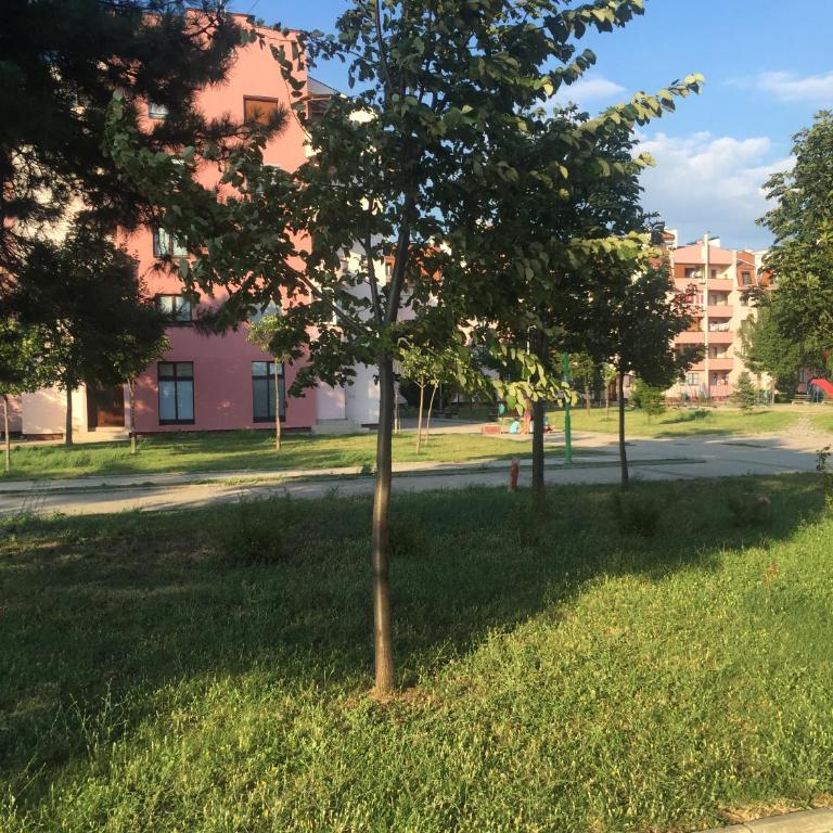 Top Apartment - Apartman - Prizemlje - 1