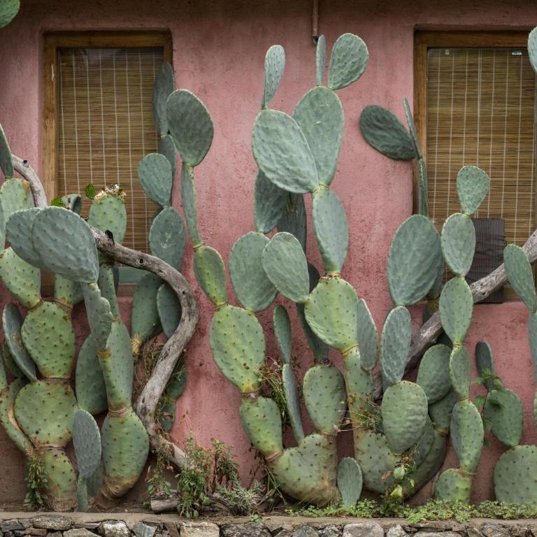 La Teresita Posada - Habitación Doble - 6