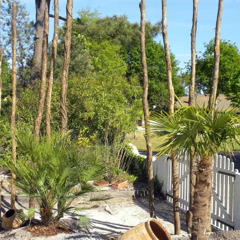Villa Mogador Piscine et Balnéo - Suite Deluxe avec Baignoire Spa - 5