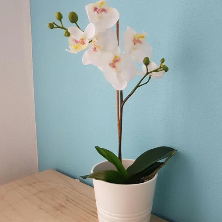 Rosa Dei Venti - Apartamento de 1 dormitorio - 6