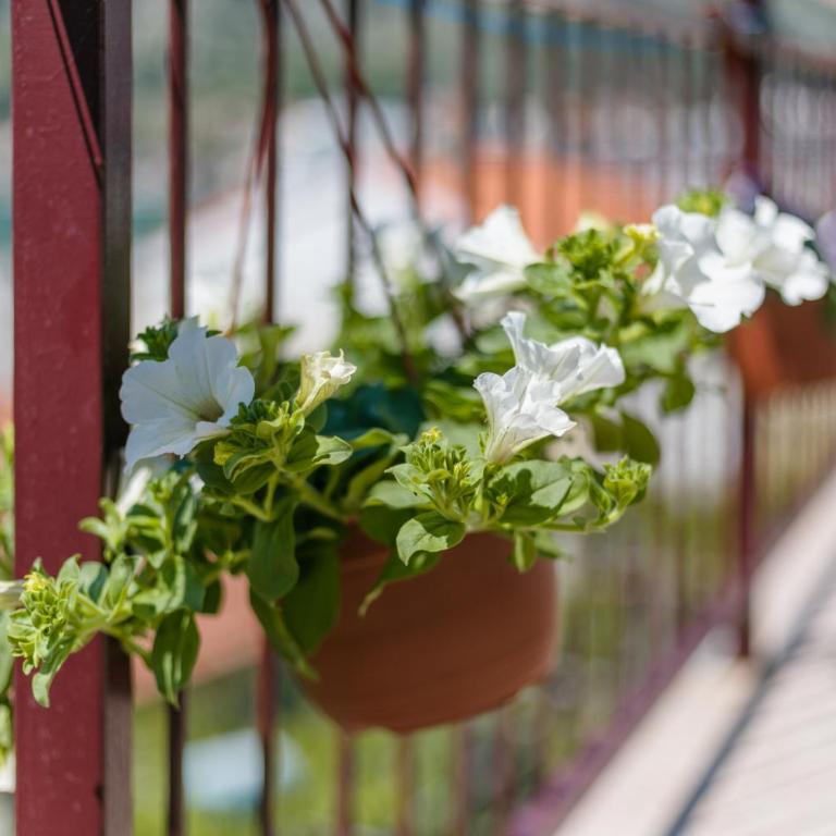 Apartments Feniks - One-Bedroom Apartment with Balcony - 12