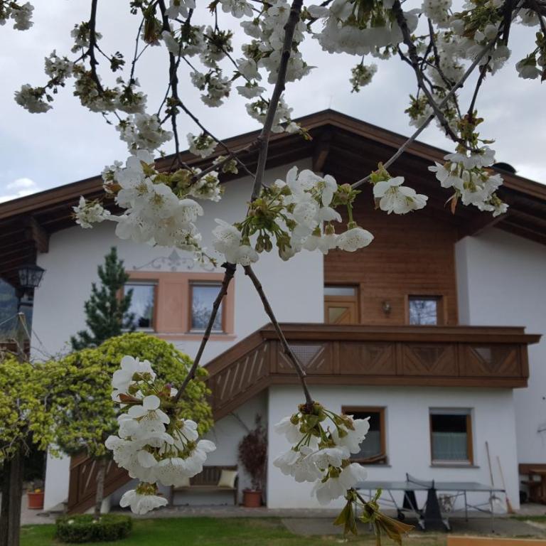 Appartements Schusterhof - Appartamento con 2 Camere da Letto - 14