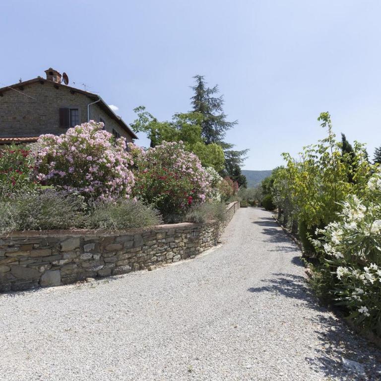 Villa ai Cedri - Villa con 4 Camere da Letto - 4