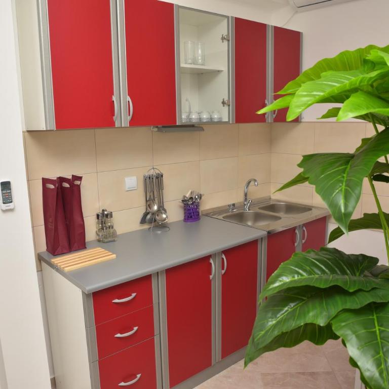 Apartmani Centar Igalo - Apartment with Sea View and Terrace A2 - 14