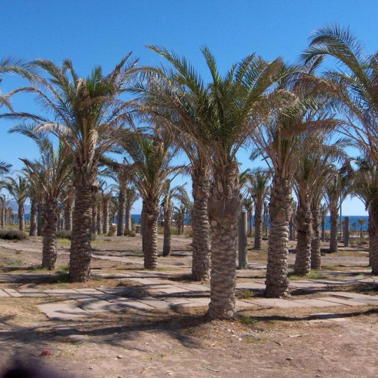 Golf y playa junto al Cabo de Gata - Apartamento Ático - 44