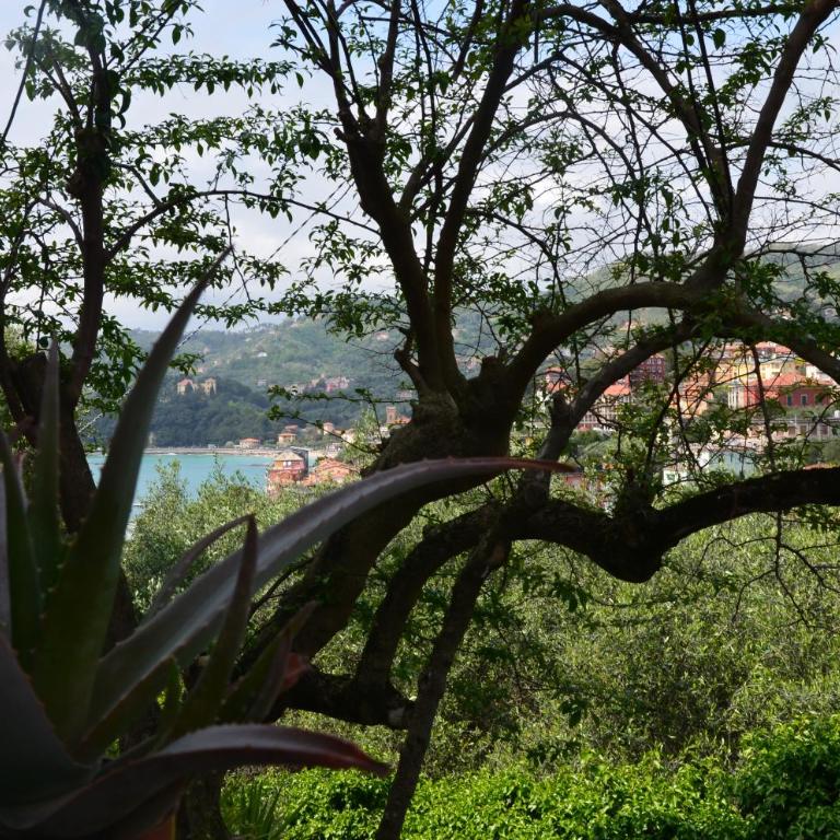 Casa Gaia - Appartamento con 2 Camere da Letto - 31