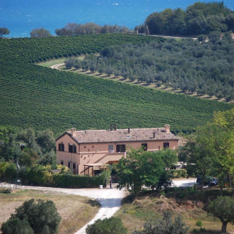 Conero mare campagna il Casale Le Maschere appartamenti - Casa con 2 Camere da Letto - 1