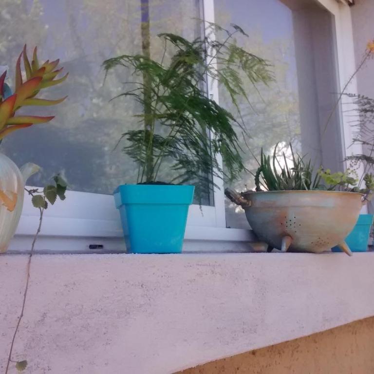 Aires de Ambar - Chalet de 1 dormitorio - 79