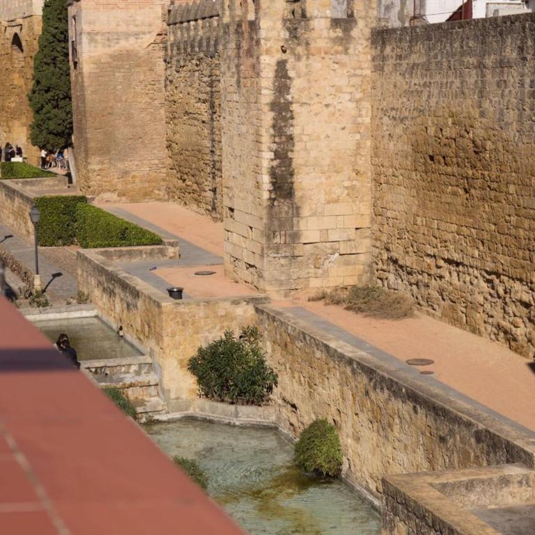 Apartamento El Balcon de la Muralla - Apartamento Ático - 17