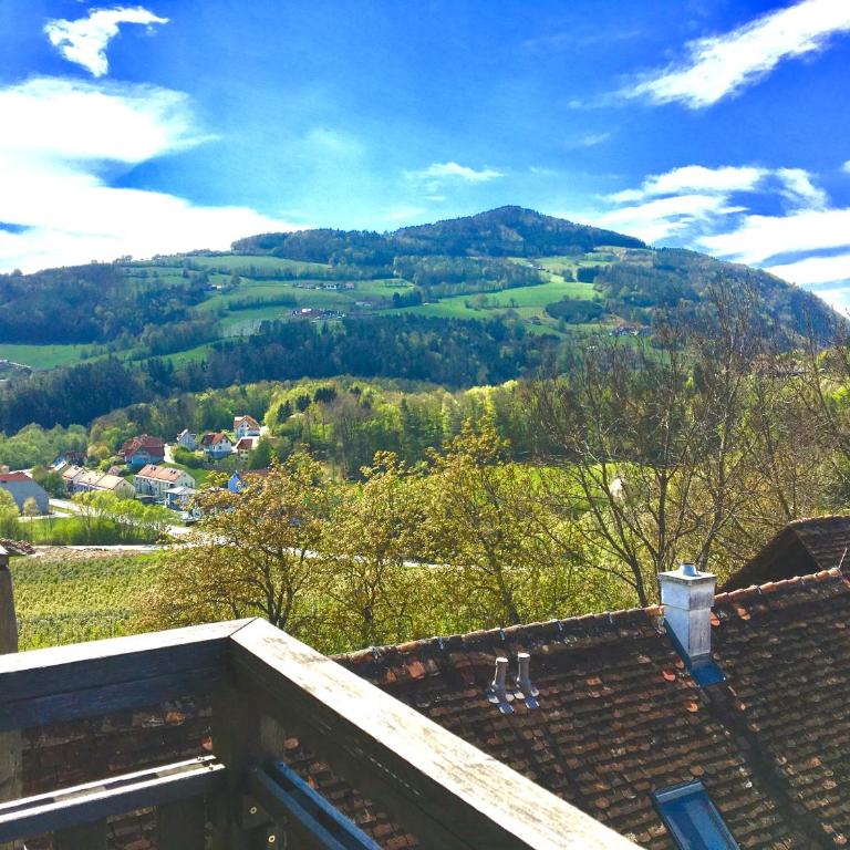 Apfelwirt - Doppel-/Zweibettzimmer mit Aussicht - 14