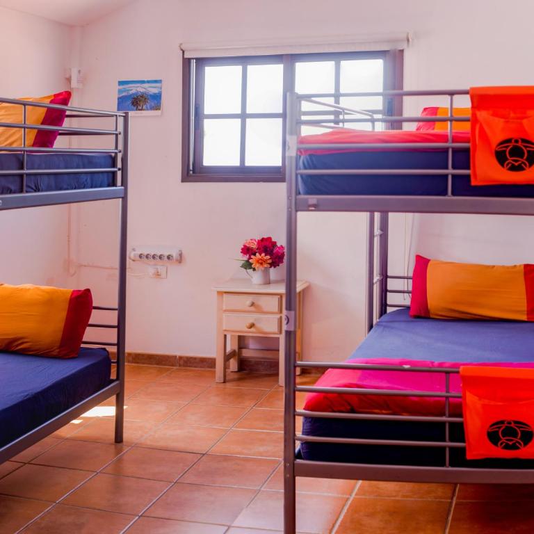 La Tortuga Hostel - Cama en habitación compartida mixta con 4 camas y baño - 1