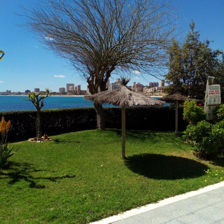 Apartamento Cabo Azul Playa Campello - Apartamento de 2 dormitorios - 41
