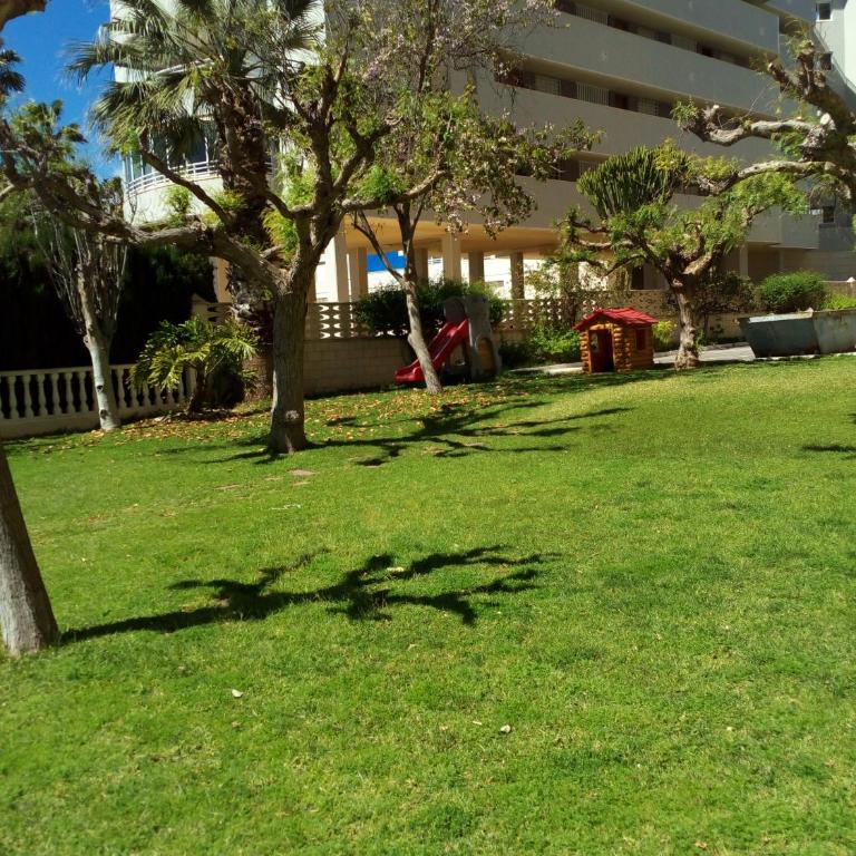 Apartamento Cabo Azul Playa Campello - Apartamento de 2 dormitorios - 43