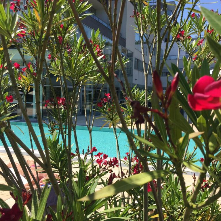 Golf & Wellness Apartment 34. - Appartement 2 Chambres - 1