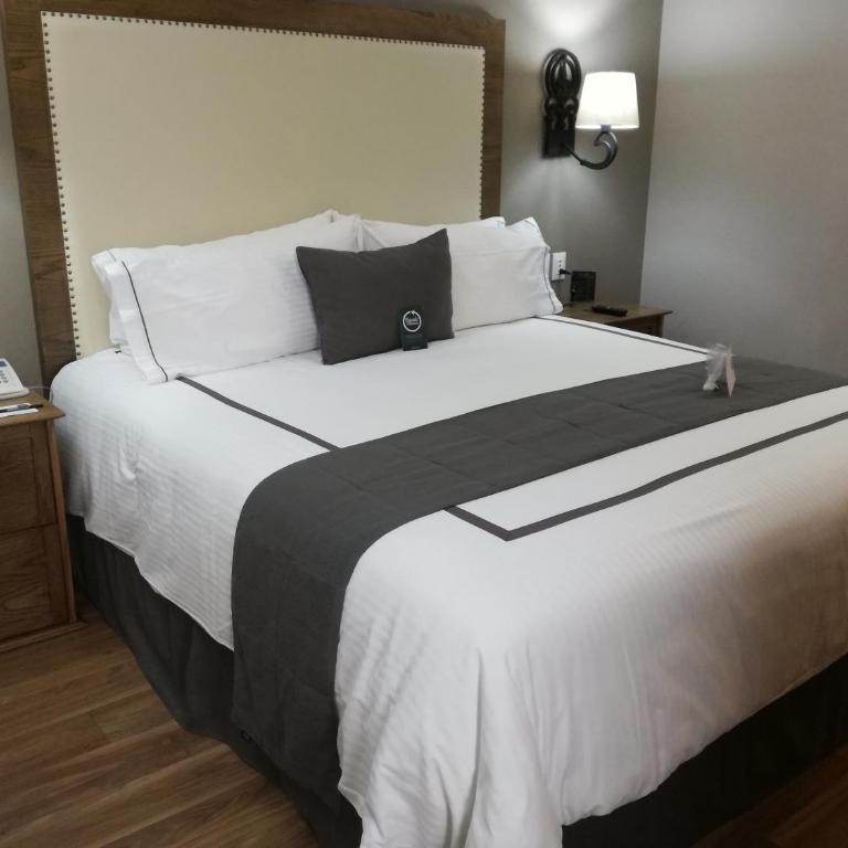 Historico Central Hotel - Standard Double Room - 1 Bed - 9